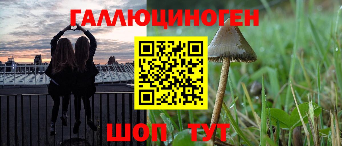 Галлюциногенные грибы Magic Shrooms Набережные Челны